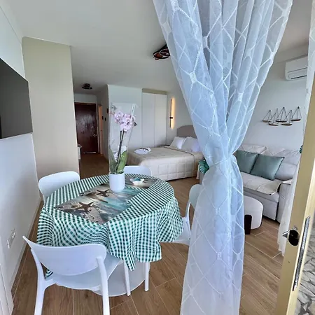 Casa Sud Menton Front De Mer A Menton, Terrasse, Cuisine Equipee, Climatise, Wifi Et Netflix *